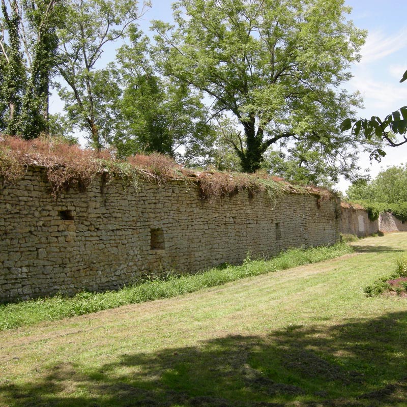 Château de Montfort