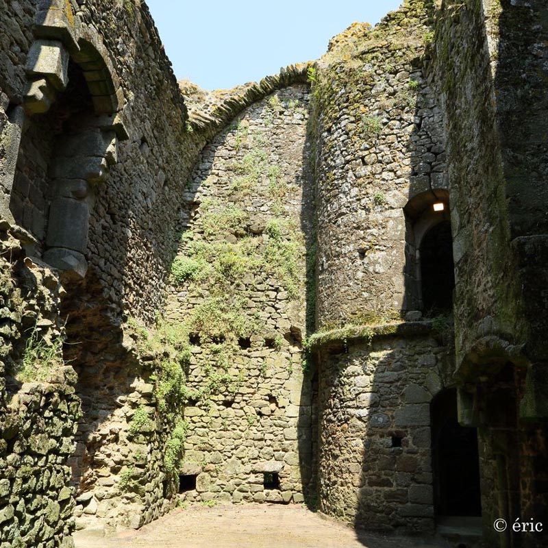 Château de Pouzauges