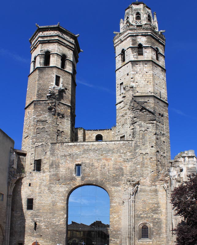 Cathédrale Vieux-Saint-Vincent de Mâcon
