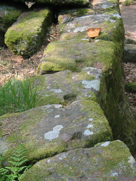 Mur païen du Mont-Saint-Odile